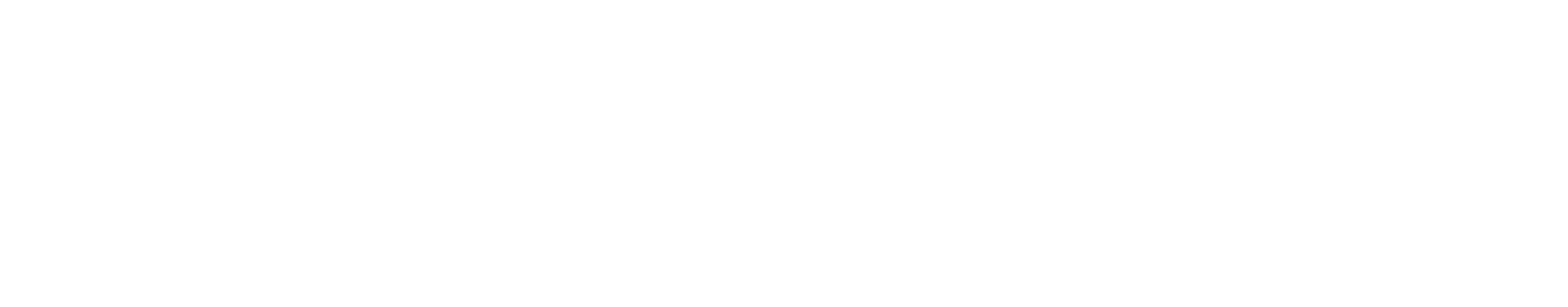 Solo